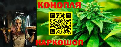 ГАЛЛЮЦИНОГЕННЫЕ ГРИБЫ Гусев