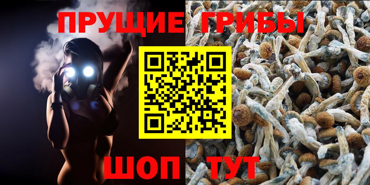 Галлюциногенные грибы Cubensis Кольчугино