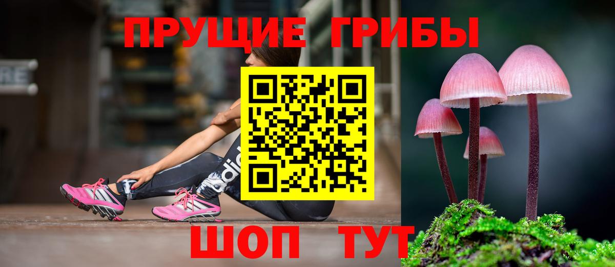 Кольчугино  Галлюциногенные грибы MAGIC MUSHROOMS  Вход с VPN  цена   Псилоцибиновые грибы мухоморы 