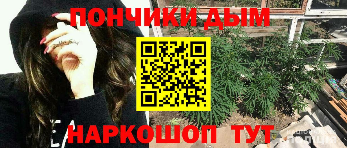 Марихуана планчик  Каннабис планчик  Кольчугино  Бошки Шишки Ganja  Бошки Шишки планчик  Вход с VPN 